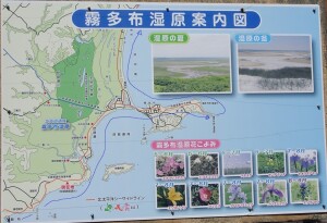 4日目　霧多布湿原案内図